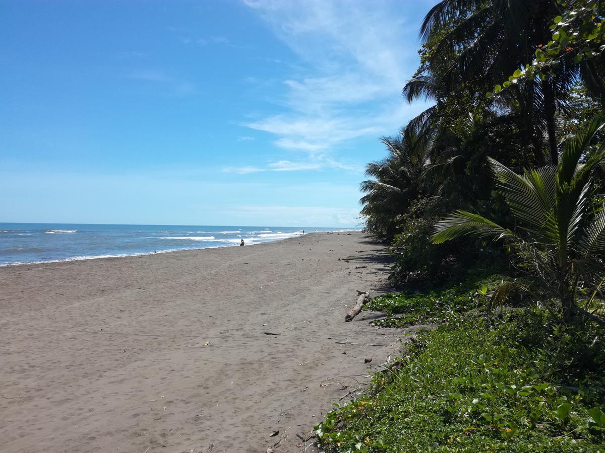 Apartahotel & Gym Rondon Tortuguero Exterior photo